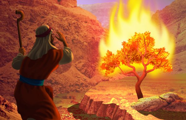 burning bush